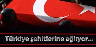 Türkiye Şehitlerine Ağlıyor